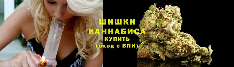 Канабис White Widow  ссылка на мегу маркетплейс  Зерноград  продажа наркотиков 